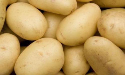 Batata - Indisponível