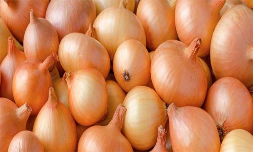 Cebola - Indisponível